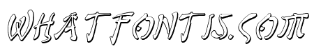 Bushido Shadow Italic