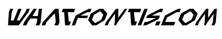 Terra Firma Italic