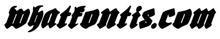 Bierg?rten Italic