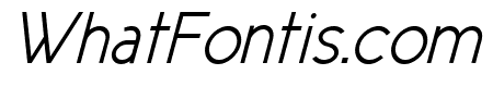 New Cicle Semi Italic