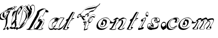 ScripteriaGummy