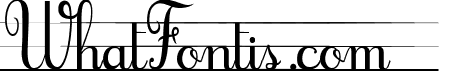 Cursif & Lignes