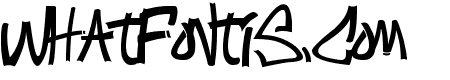 Intens writings
