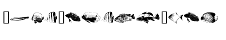 FishyPrint One AOE