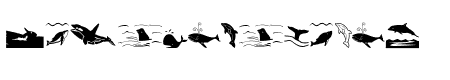 Orcas