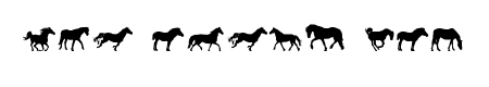 DJ Horses 1