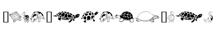 Keyas Turtles