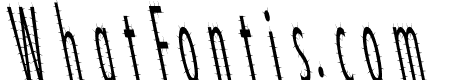 CatScratch Thin Rev Italic