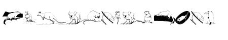 AustranimalsOne