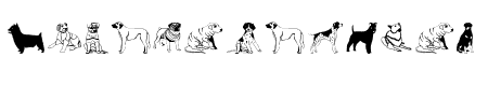 HundeDogsChiens