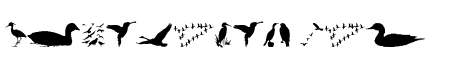 BirdsAndFriends