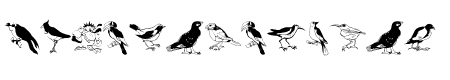 Blackbirds