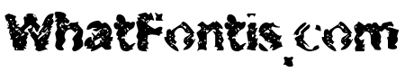 BN-Zooner