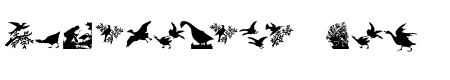 BirdsCuts