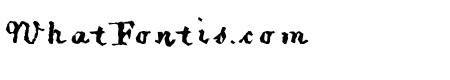 PiratiquaVertical
