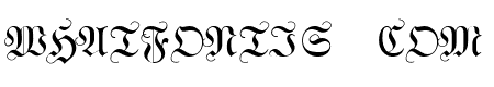 WittewittMajuscles-Flourish