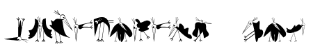 BirdsXtreme