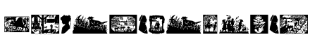 ScissorCuts