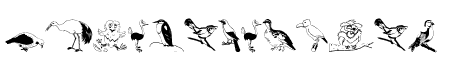 BirdsOSeven
