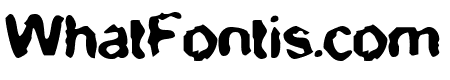 BN-ZigZag
