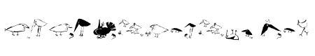 SaulsRandomBirds