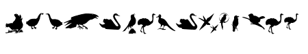 BirdsOThree