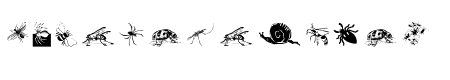 Insects07