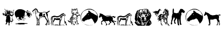 CatDogHorse