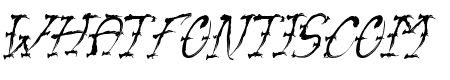 VTC-SumiSlasherOne Italic