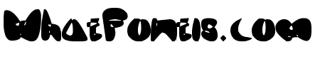OneLeash