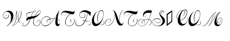 Constanze Initials