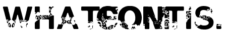 Polar Shift Bold