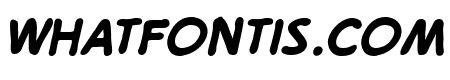 DigitalStrip 2.0 BB Bold