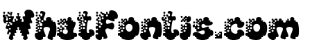 SplashExtraBold