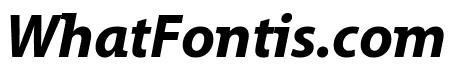 Grandesign Neue Roman Bold Italic