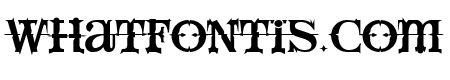 LushUs Medium