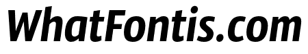 SansusWebissimo-Italic