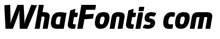 Absolut Pro Bold Italic reduced