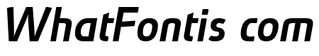 Absolut Pro Medium Italic reduced