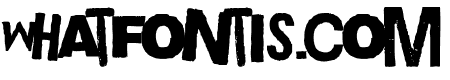 Boxpot Ametuer