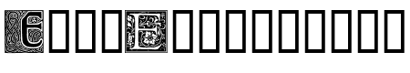Ornamental Initials E