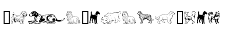 Doggy Bag