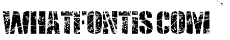 SMASH PUNKERS