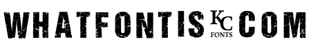 ALL AGES DEMO Bold Italic