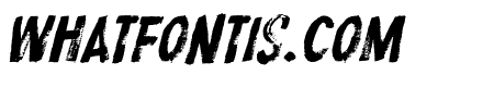 ProtestPaintBB-Italic