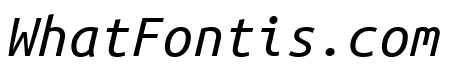 Ubuntu Mono Italic