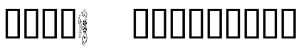 Dividers & Misc