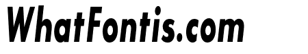 SansSerifBldFLFCond-Italic