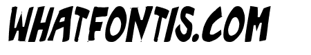 Roof runners active Italic