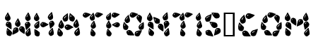 JI Seeds